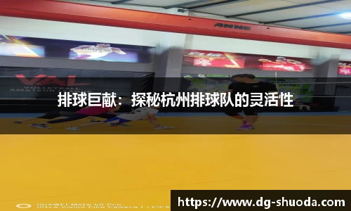 排球巨献：探秘杭州排球队的灵活性