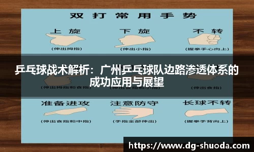 乒乓球战术解析：广州乒乓球队边路渗透体系的成功应用与展望