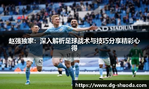赵强独家：深入解析足球战术与技巧分享精彩心得