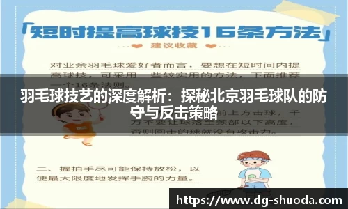 羽毛球技艺的深度解析：探秘北京羽毛球队的防守与反击策略