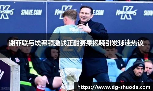 谢菲联与埃弗顿激战正酣赛果揭晓引发球迷热议